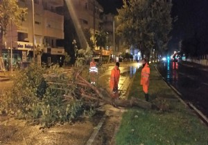 Antalya da Büyükşehir Fırtınalı Gecede Kesintisiz Çalıştı